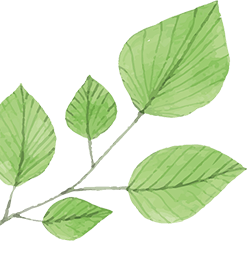 Theme Leaf Element